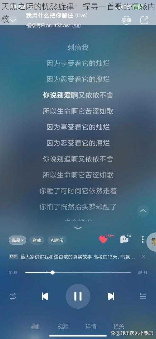 天黑之际的忧愁旋律：探寻一首歌的情感内核