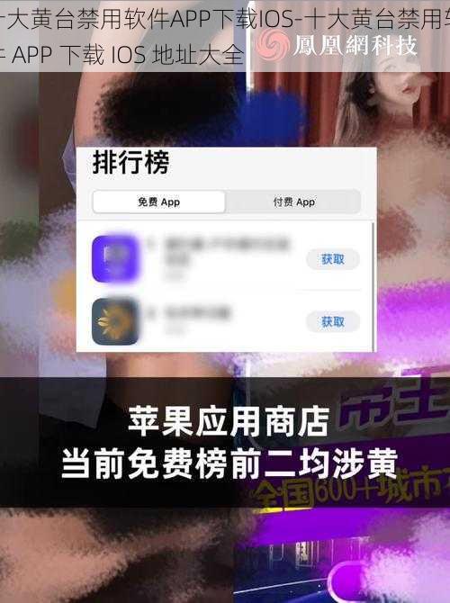 十大黄台禁用软件APP下载IOS-十大黄台禁用软件 APP 下载 IOS 地址大全