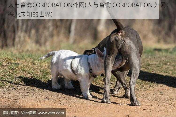 人与畜禽CORPORATION外网(人与畜禽 CORPORATION 外网：探索未知的世界)