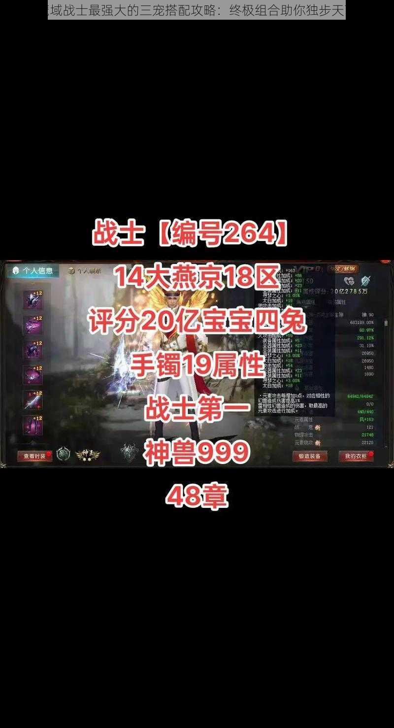 魔域战士最强大的三宠搭配攻略：终极组合助你独步天下