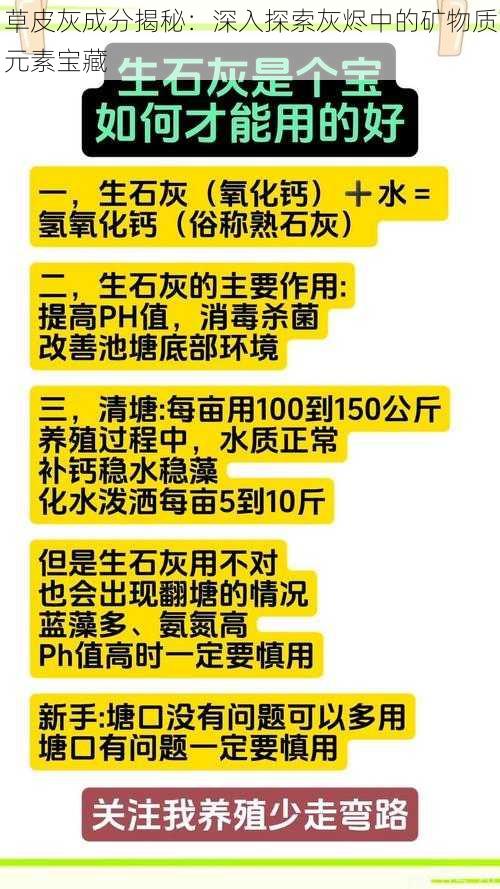 草皮灰成分揭秘：深入探索灰烬中的矿物质元素宝藏