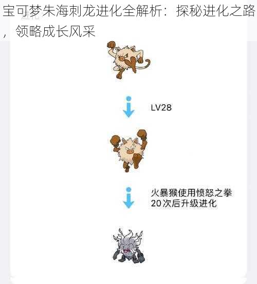 宝可梦朱海刺龙进化全解析：探秘进化之路，领略成长风采