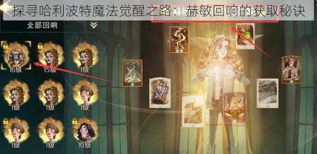 探寻哈利波特魔法觉醒之路：赫敏回响的获取秘诀