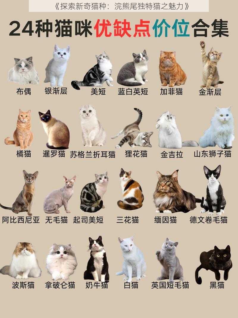 《探索新奇猫种：浣熊尾独特猫之魅力》