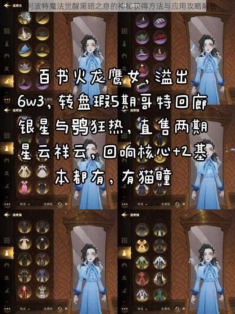 哈利波特魔法觉醒黑暗之息的神秘获得方法与应用攻略解析