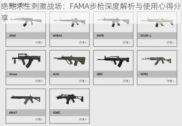 绝地求生刺激战场：FAMA步枪深度解析与使用心得分享