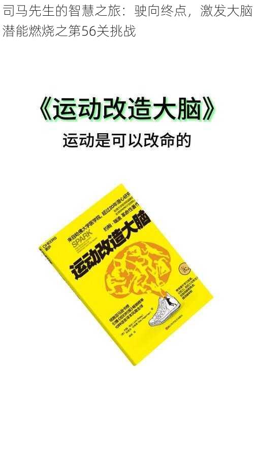 司马先生的智慧之旅：驶向终点，激发大脑潜能燃烧之第56关挑战