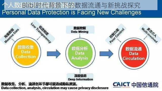 Blibl时代背景下的数据流通与新挑战探究
