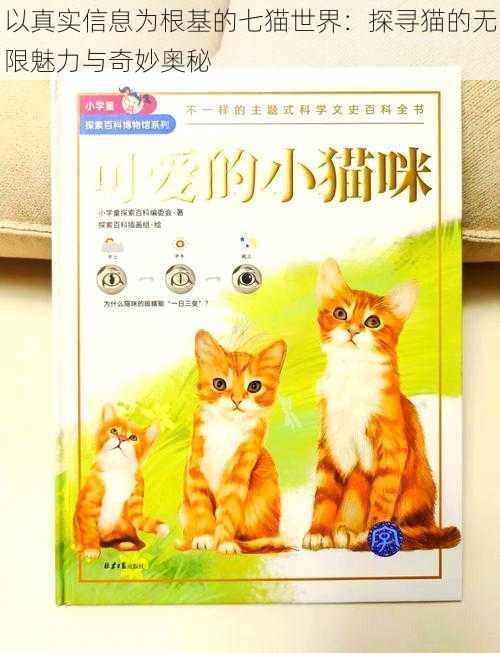 以真实信息为根基的七猫世界：探寻猫的无限魅力与奇妙奥秘